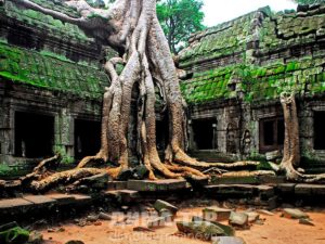 Экскурсии : Камбоджа, храм Ангкор Ват