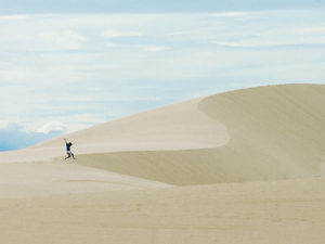 Белые дюны и озеро лотосов : Экскурсия из Муйне, Вьетнам