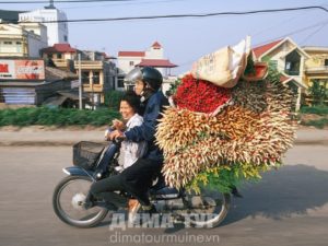 Безопасность дорожного движения во Вьетнаме