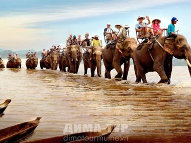 Экскурсия в Даклак и катание на слонах