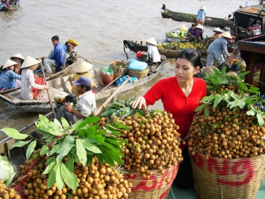 Экскурсия по дельте реки Меконг