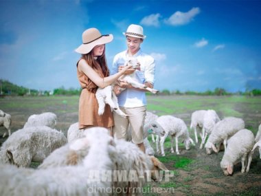 вьетнамская свадьба